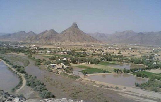 6 قتلى في اشتباكات قبلية ببيحان