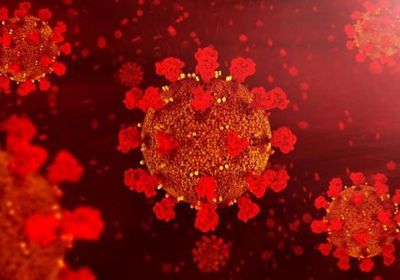 للوقوف على حالتهم.. فحص مخالطي مصاب كورونا بتعز