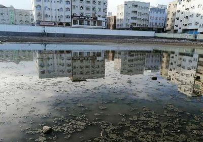 بالصور.. المستنقعات في الشيخ عثمان تنذر بـ"كارثة بيئية"