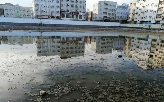بالصور.. المستنقعات في الشيخ عثمان تنذر بـ"كارثة بيئية"
