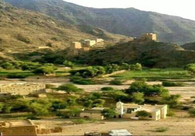 انتشار أسراب بعوض بمستنقعات أمطار الصعيد