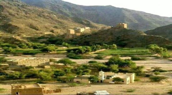 انتشار أسراب بعوض بمستنقعات أمطار الصعيد