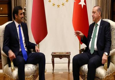 صحفية سعودية: أردوغان يحكم قطر.. وهذا دوره في محاولة الانقلاب