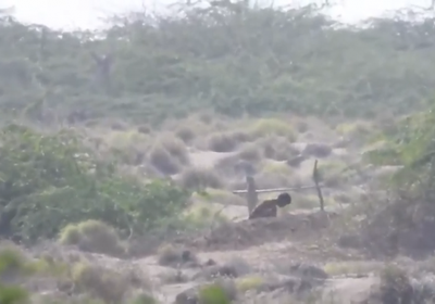 شاهد.. مصرع عناصر حوثية في بيت الفقيه