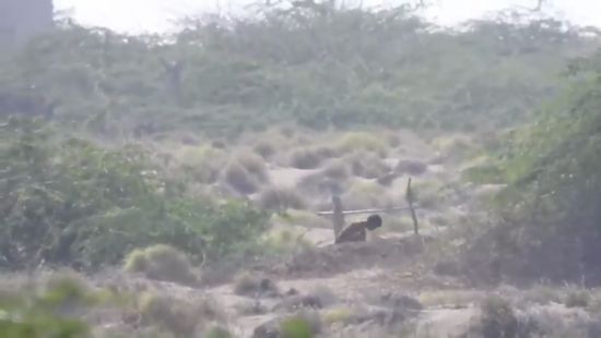 شاهد.. مصرع عناصر حوثية في بيت الفقيه