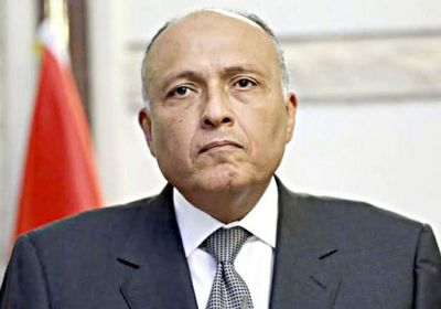 تعاون مصري وإستوني في ملف سد النهضة