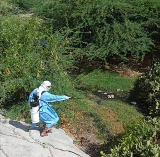 رش ضبابي في حالمين لمكافحة البعوض