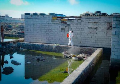 بالصور.. "شباب الانتقالي" تكافح انتشار البعوض بخورمكسر