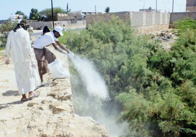 انتقالي غيل باوزير يُحاصر الأوبئة بحملة رش وقائي (صور)