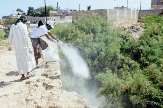 انتقالي غيل باوزير يُحاصر الأوبئة بحملة رش وقائي (صور)