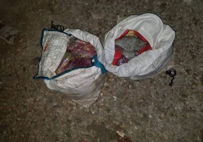 ضبط متهمين بذبح سلاحف في ساحل حضرموت