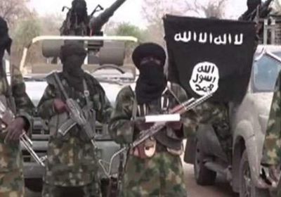  النيجر: مقتل 75 إرهابيا من "بوكو حرام"