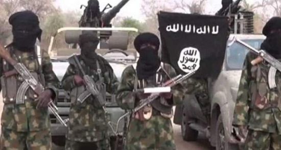  النيجر: مقتل 75 إرهابيا من "بوكو حرام"