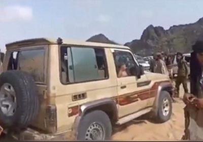 القوات الجنوبية تسيطر على جبل سيود بشقرة