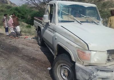 خلال توجهه إلى شقرة.. كمين مُحكم لرتل إخواني بالمحفد