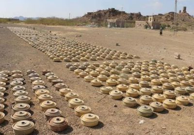 "عكاظ" تشيد بجهود السعودية في اليمن