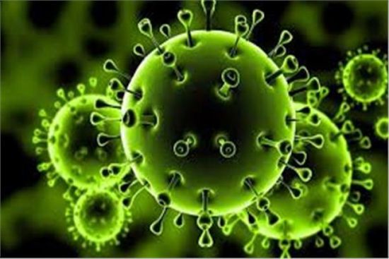 الوباء يتفشى.. 37 إصابة بكورونا في ساعات