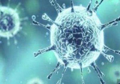 بعد ظهور أول حالة مصابة..إجراءات مشددة لمكافحة "كورونا" بالريدة وقصيعر