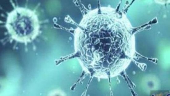 بعد ظهور أول حالة مصابة..إجراءات مشددة لمكافحة "كورونا" بالريدة وقصيعر