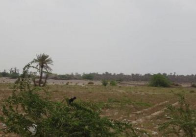 عناصر حوثية تطلق الرصاص على مزارع الجبلية