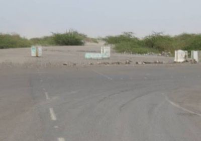 "المشتركة" ترصد تسللا حوثيا للفازة وتفتك بعناصره