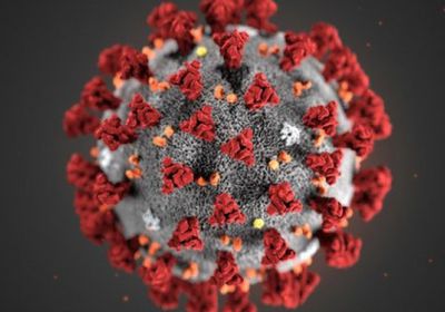 ارتفاع إصابات كورونا في تعز لـ21 حالة