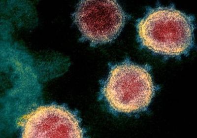 "لجنة كورونا": 12 إصابة جديدة وشفاء مريض بحضرموت