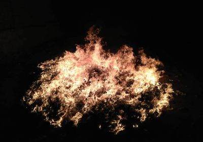 ضبط 3 مهربين و3500 بندل قات بحضرموت (صور)