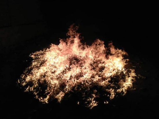 ضبط 3 مهربين و3500 بندل قات بحضرموت (صور)