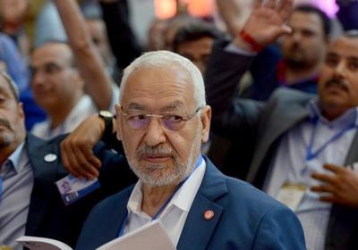 برلماني مصري: حكم الإخوان في تونس سينتهي قريبًا