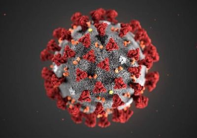  كورونا يتحول من فيروس مستجد إلى وباء متفشي في صنعاء