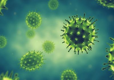 بعد 10 أيام بالعزل.. كورونا يحصد ضحية جديدة في تعز 