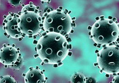 لا إصابات بكورونا في وادي حضرموت