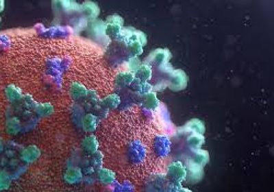 685 مخالطا لمصابي كورونا في ساحل حضرموت