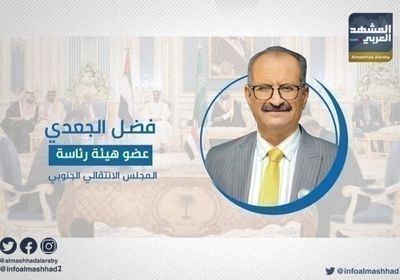 الجعدي يشن هجوما حادا على الشرعية.. لهذه الأسباب
