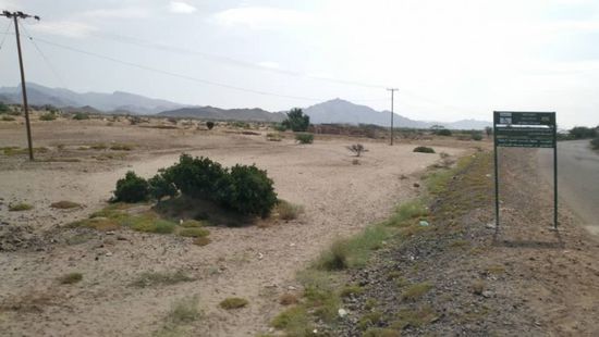 وفاة شاب بصاعقة رعدية في الملاح