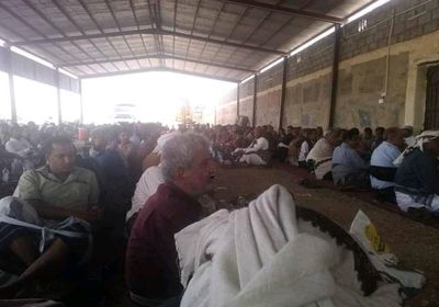 قبائل شبوة تبحث الرد على جرائم مليشيا الإخوان