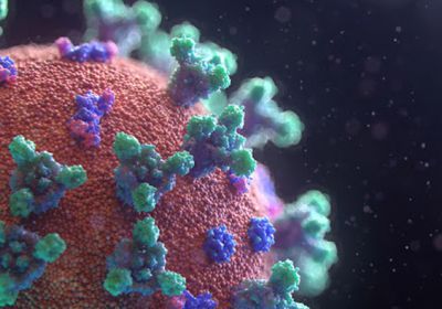 وفيات كورونا تتجاوز المصابين في وادي حضرموت