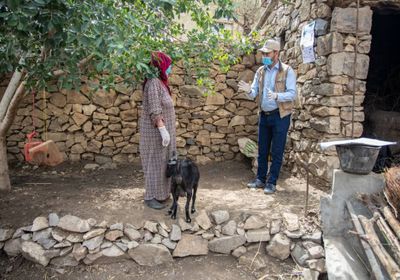 "الإنمائي" يدرب مئات المربين على تغذية الماشية