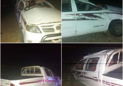 بسبب قطيع جمال.. مصرع وإصابة 5 على طريق بالريدة الشرقية