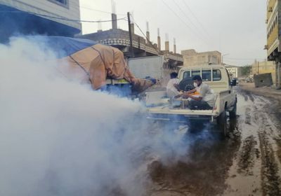 بالصور.. مبادرة شبابية لمكافحة البعوض في الحبيلين