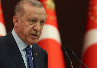 صحفي سعودي يكشف.. كيف حاول أردوغان السيطرة على الدول العربية؟