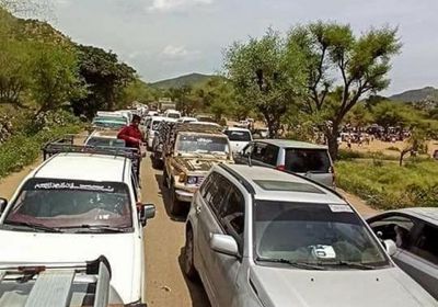 سياسة الإتاوات.. الإخوان يمنعون القات في تعز ويضاعفون أسواقه