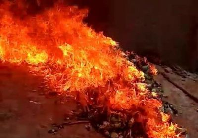 إحباط تهريب 2600 بندل قات لساحل حضرموت