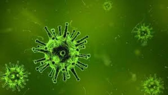 اكتشاف 8 إصابات جديدة بفيروس كورونا في تعز