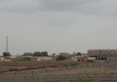 للمرة الثانية.. "المشتركة" تتصدى لعدوان حوثي على التحيتا