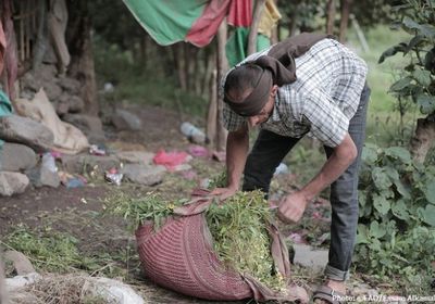 فاو يدعو لاستمرار مساعدات المزارعين