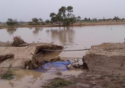 ري 7500 فدان بمياه الأمطار في لحج