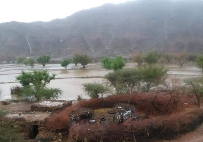 بالصور.. سيول جارفة تتدفق إلى أودية شبوة