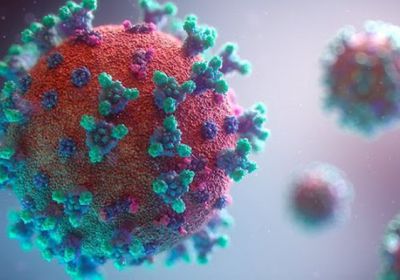 الفيروس يحاصر حضرموت.. لجنة كورونا: 20 إصابة جديدة